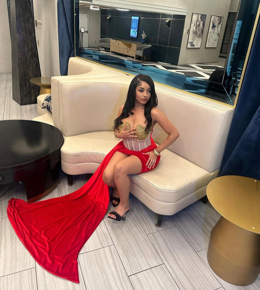"SINDERELLA" Gown